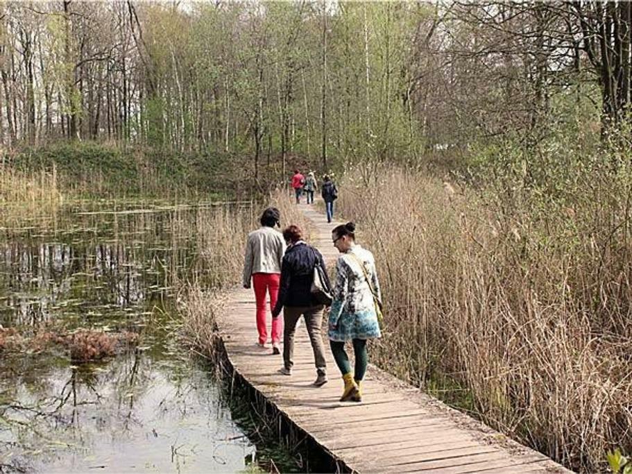 Villa Kempen-Broek Weert Eksteriør bilde